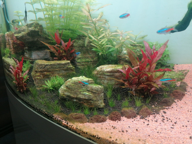 Photographie du post de Barbu62 