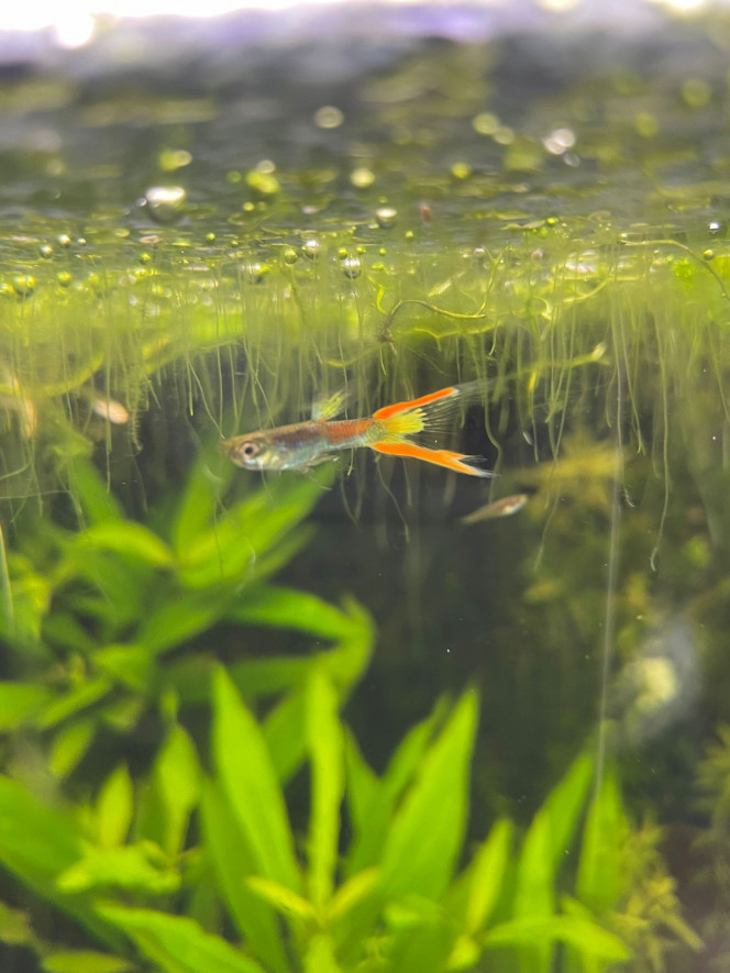 Photographie du post de Nayaah 