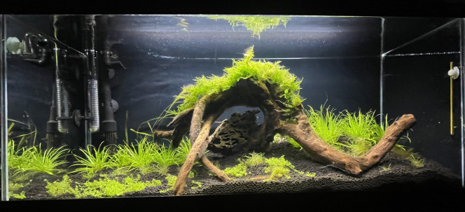 Photographie du post de Alphabar 