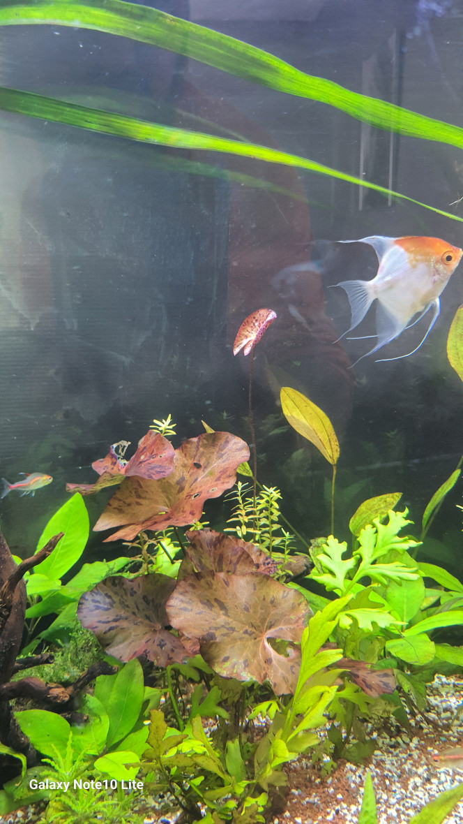  Ça pousse, ça pousse