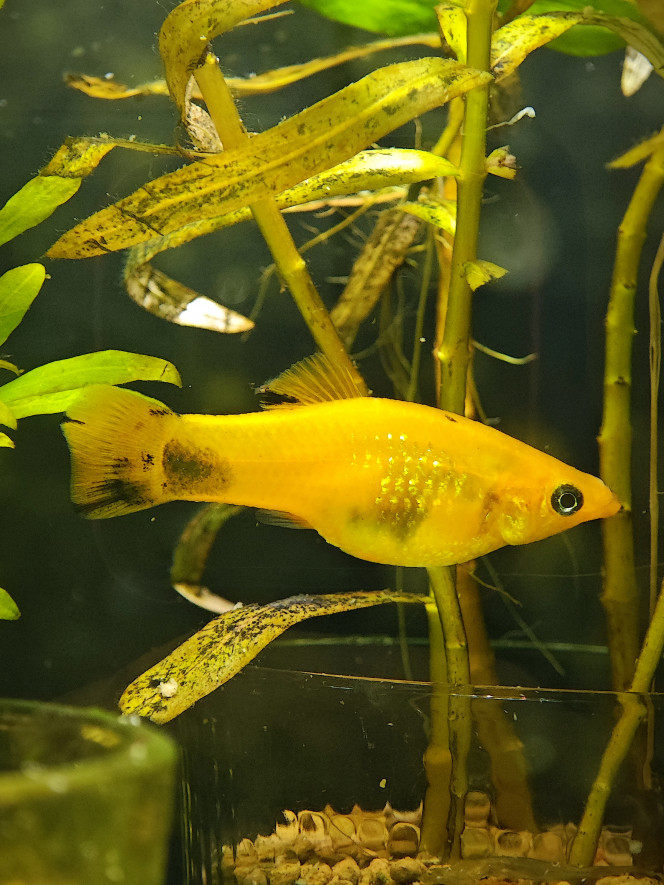 Photographie du post de Abdhul 