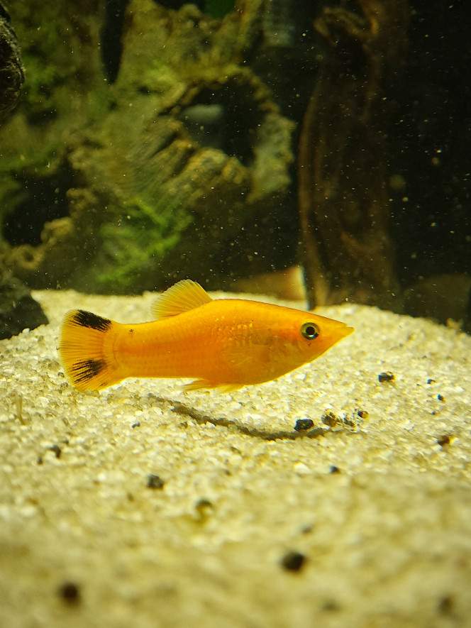 Photographie du post de Abdhul 