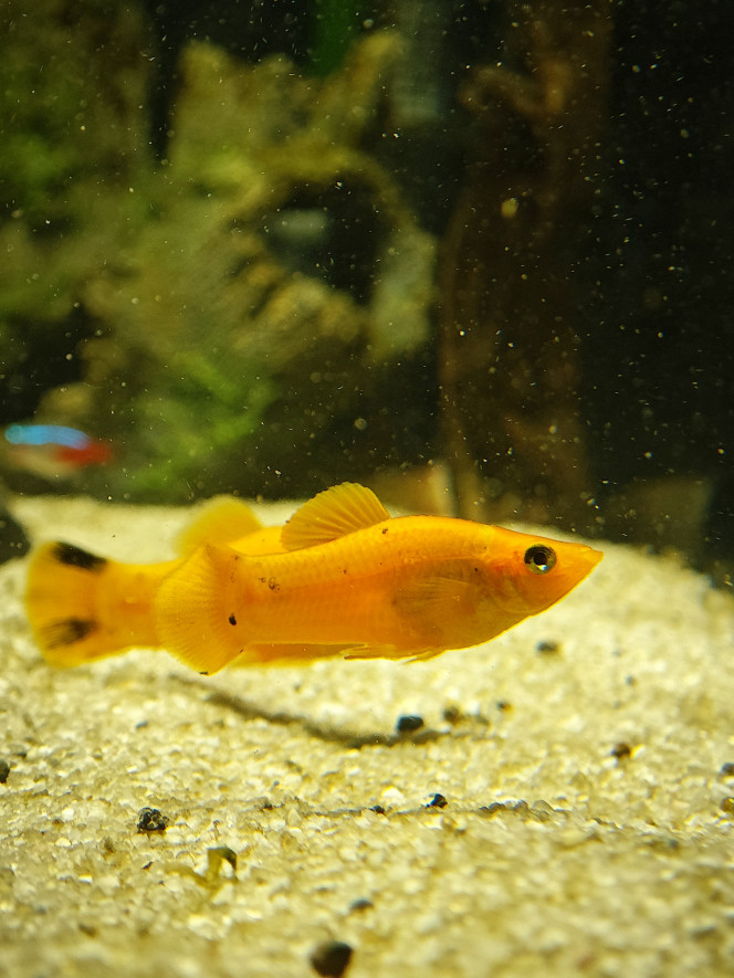 Photographie du post de Abdhul 