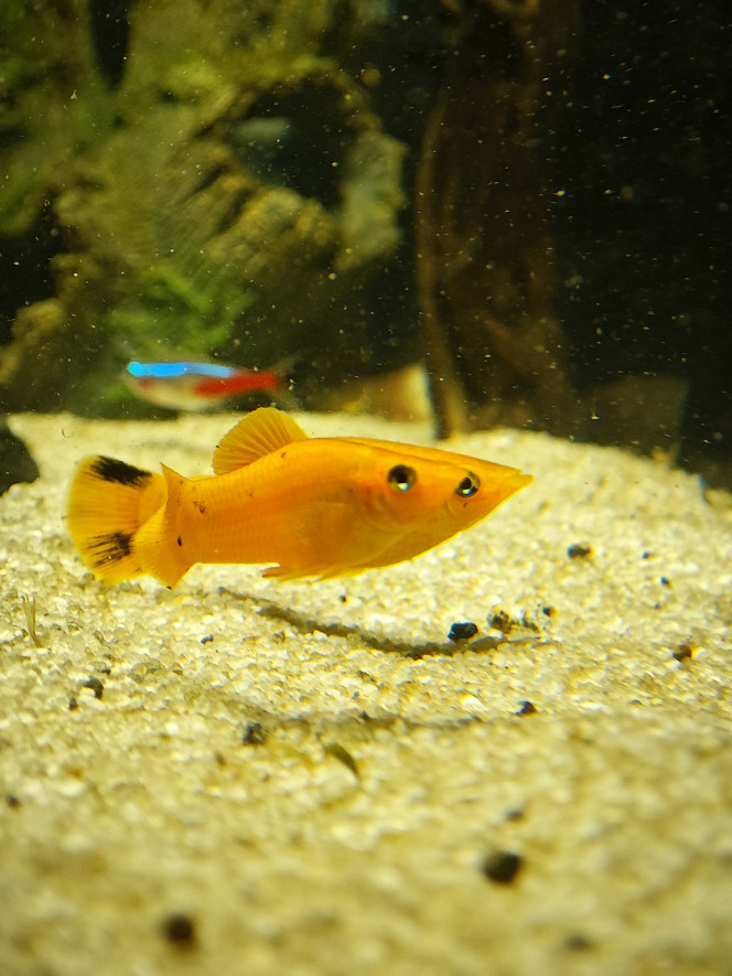 Photographie du post de Abdhul 