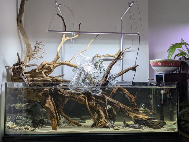 Decor posé Voilà j'ai posé le décor. Et dans plusieurs jours les plantes, le temps de voir si ça me convient et que je ne bouge pas des éléments de place.