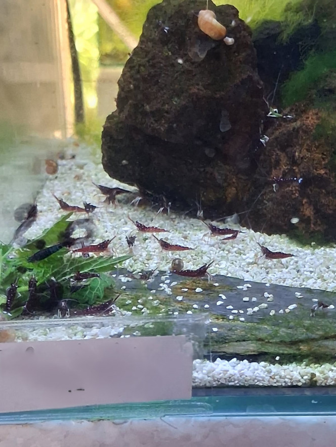 Photographie du post de PORTELLI 