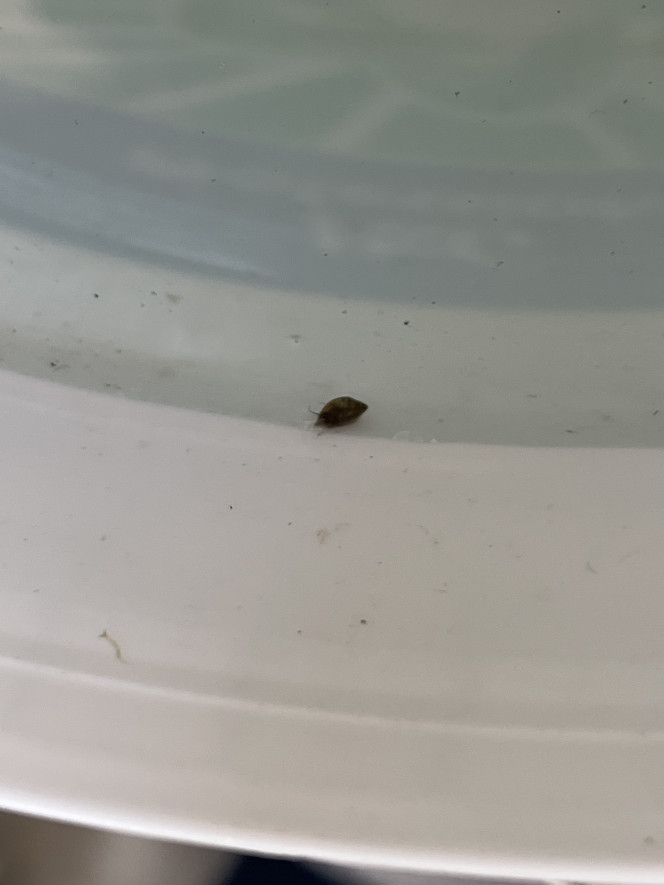 Photographie du post de ThomLA 