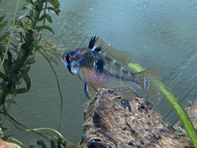 Photographie du post de Ghyos 