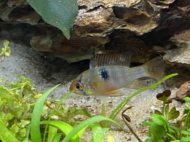 Photographie du post de Ghyos 