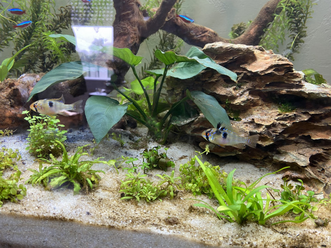 Photographie du post de Ghyos 