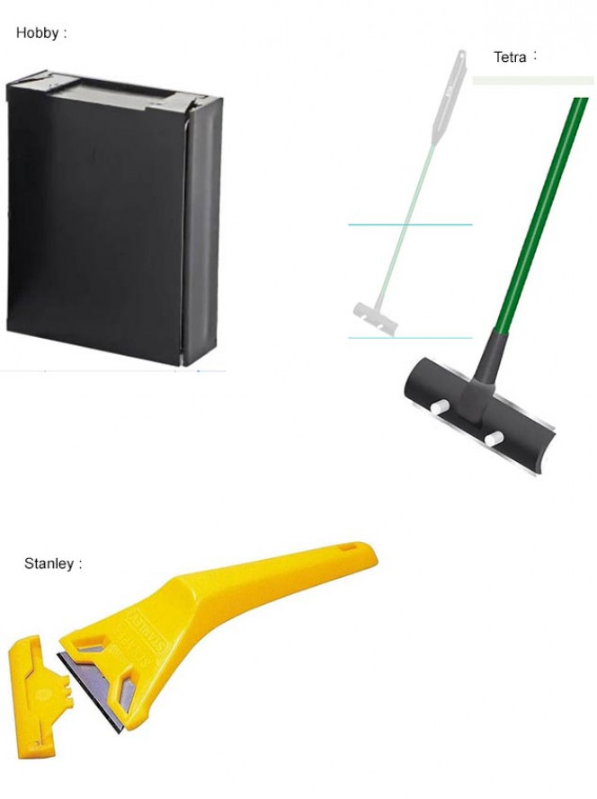 Photographie du post de YvesL 