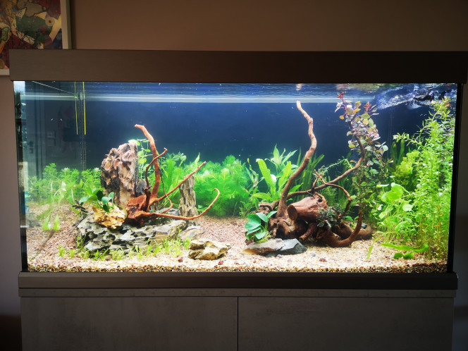 Jour 2 ?  Voilà rajouté les plantes que j'ai pu trouver, maintenant yabon