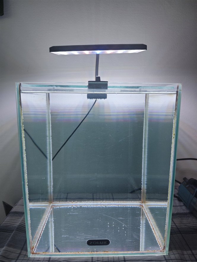 Photographie du post de Abdhul 