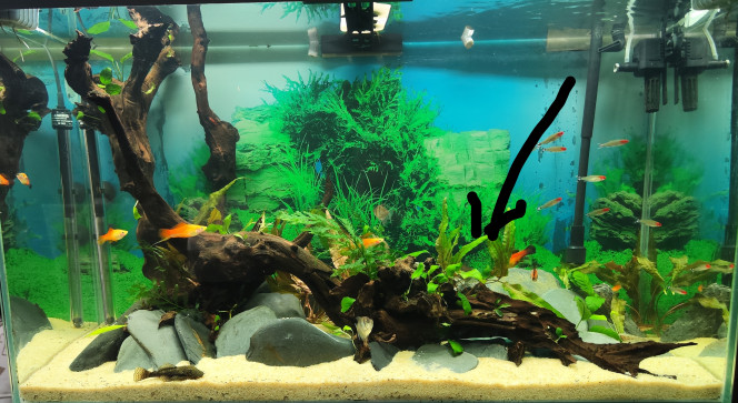 Nouveau décor pas encore finalisé 