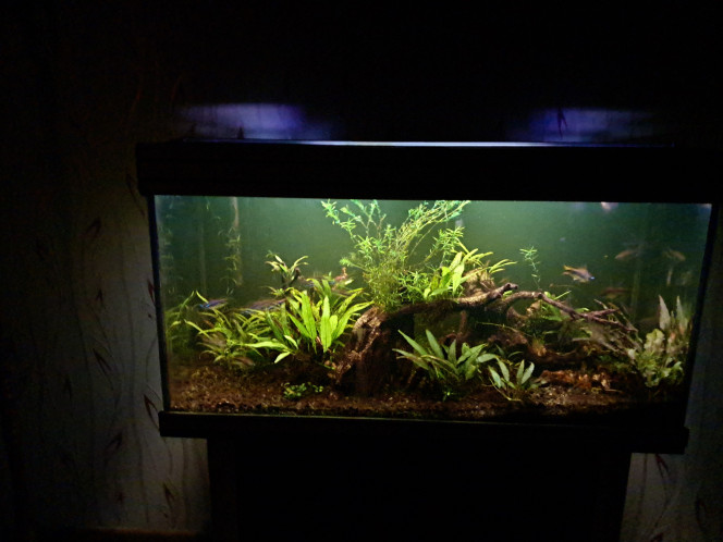 Photographie du post de CHAQUA 