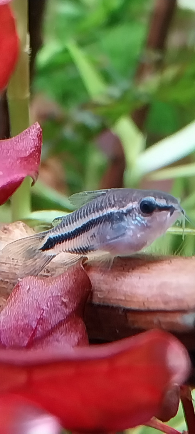 Photographie du post de STK54 