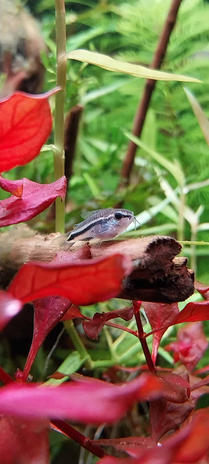 Photographie du post de STK54 