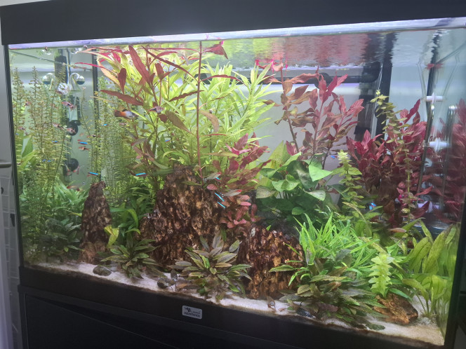 Photographie du post de Guiguidu57 