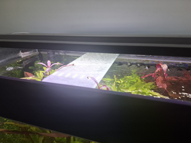 Photographie du post de Guiguidu57 