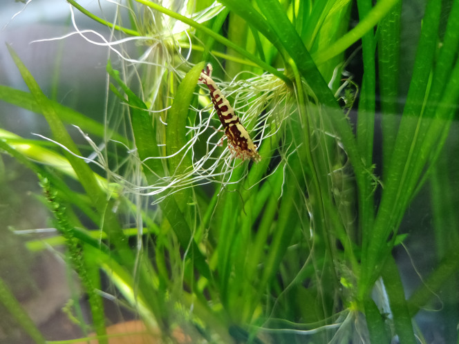 Photographie du post de Arno19 