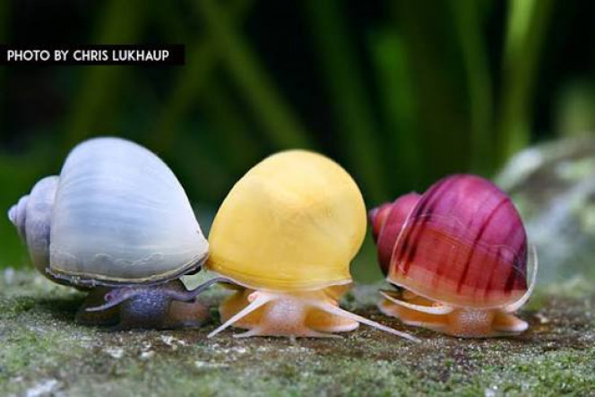 Photographie du post de alexis46 