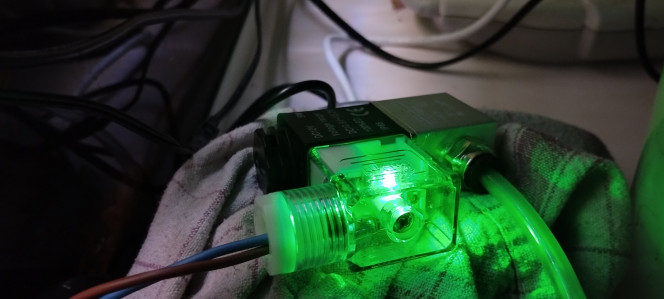 Photographie du post de AquaShrimp95 