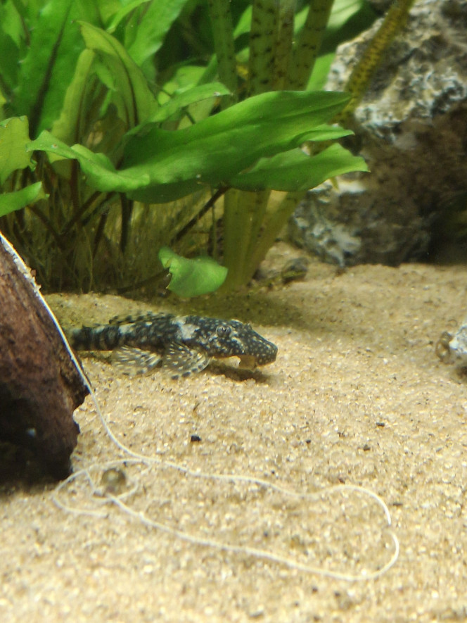 Photographie du post de michelle682504 