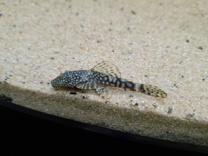 Photographie du post de michelle682504 