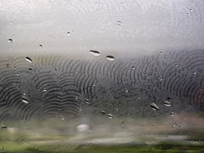 Photographie du post de NEGUS69 