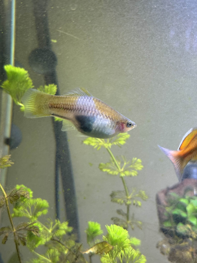 Photographie du post de Bibii07 