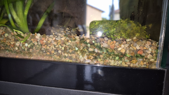 Photographie du post de Alex_Saignor 