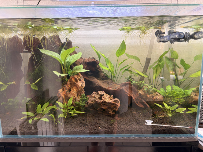 Photographie du post de Loic6289 