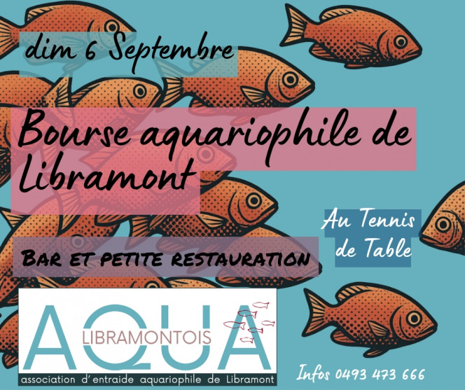 Photographie du post de DavidGatelier 