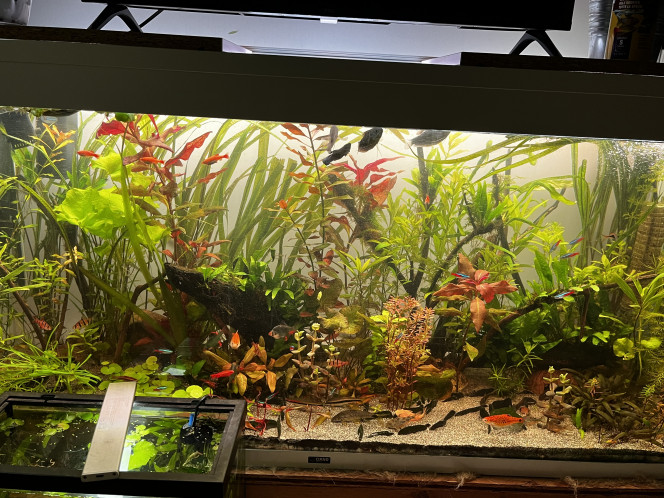 Photographie du post de remy.giog 