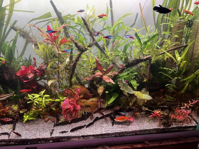 Photographie du post de remy.giog 