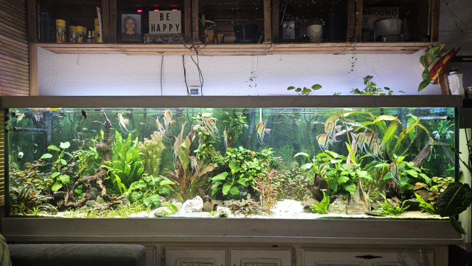 Photographie du post de Aleau 