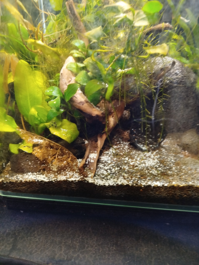 Photographie du post de Pek29 