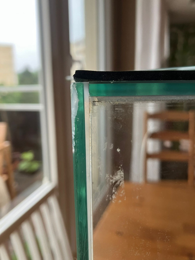 Photographie du post de LesBacsDeCamille 