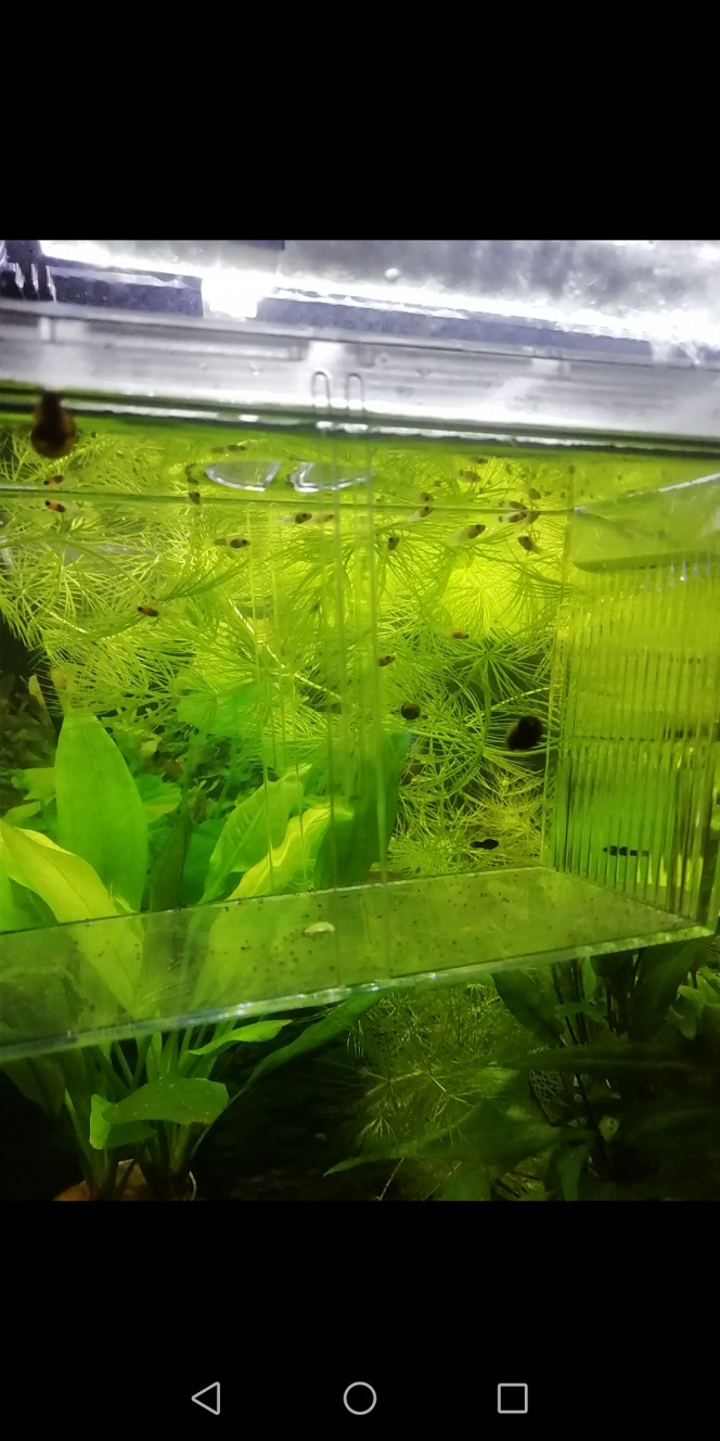 Photographie du post de FloJuju 