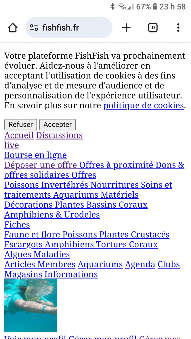 Photographie du post de LiquidPaper2008 