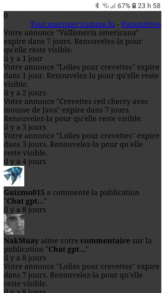 Photographie du post de LiquidPaper2008 