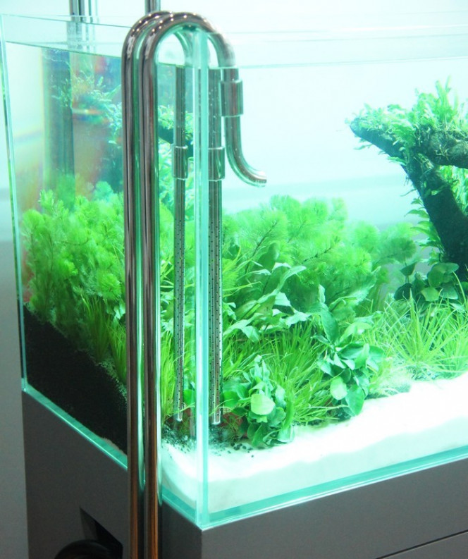 Comment nettoyer les tuyaux du filtre externe de mon aquarium ? Astuce du  jour !