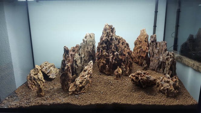 Hardscape 1 