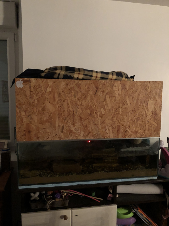 L’aquaterrarium 