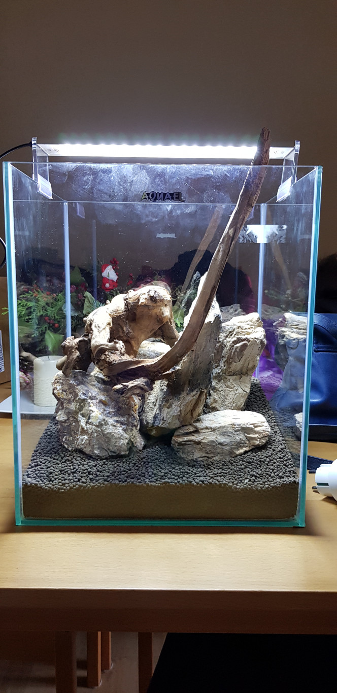 Mise en place du hardscape 