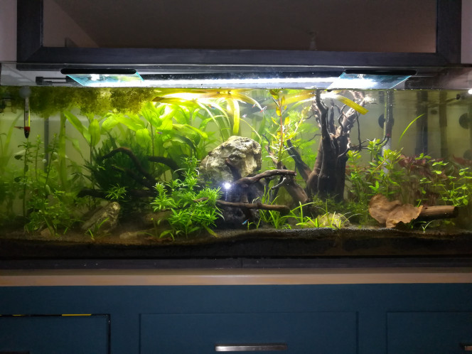 Aqua 120L 