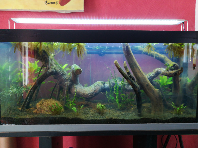 Photographie du post de T3NRYU 