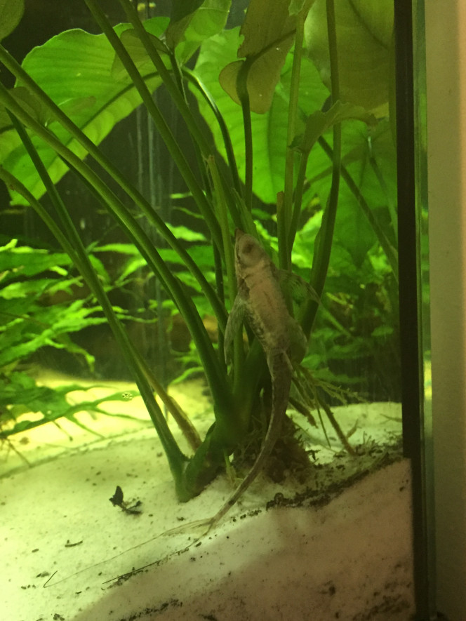 Photographie du post de Aquario420 