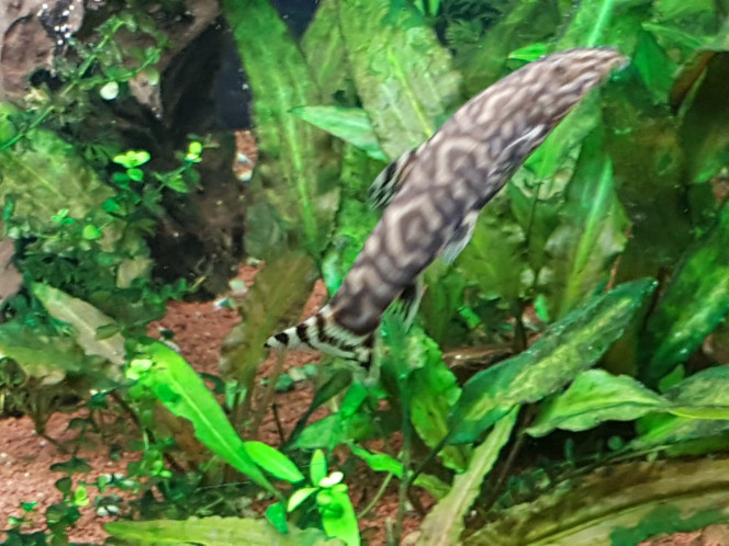 Photographie du post de Pierre 