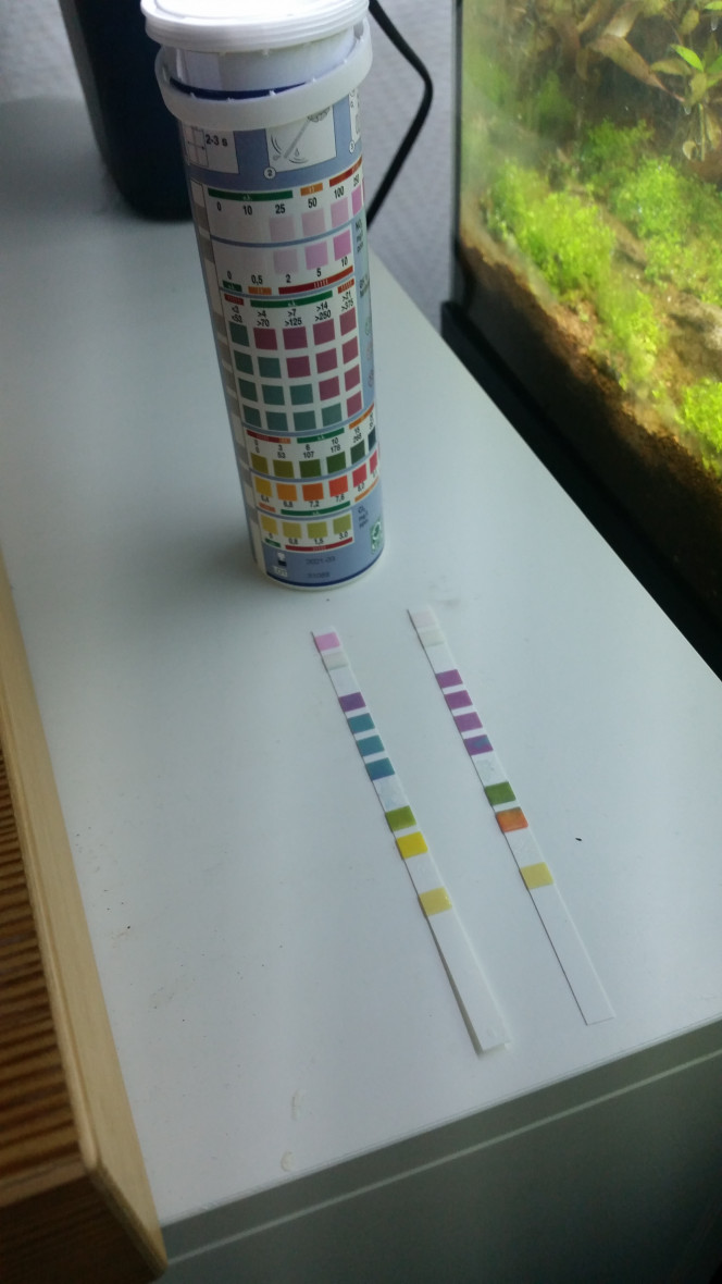 Photographie du post de Mentali 